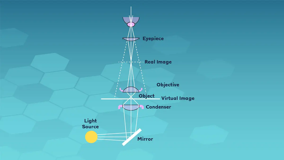Mikroskop ışık kaynağı nedir? Türleri ve Uygulama alanları