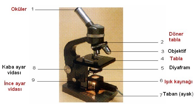 Mikroskopta mekanik kısım