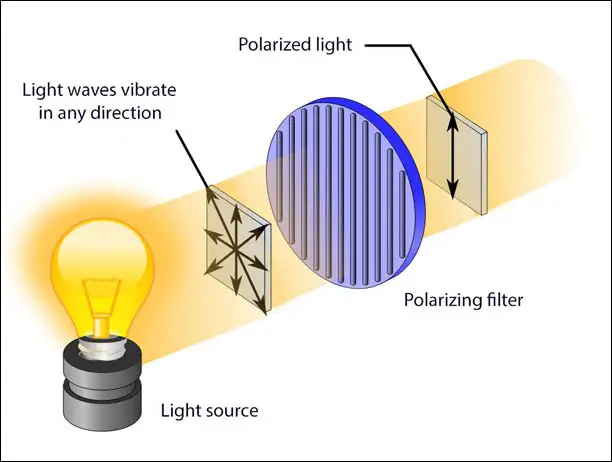 Polarize ışık nedir? Polarize ışık özellikleri ve uygulaması