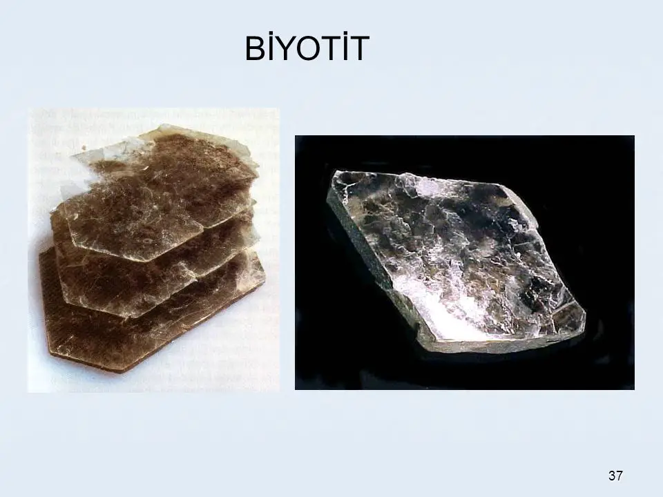 biyotit