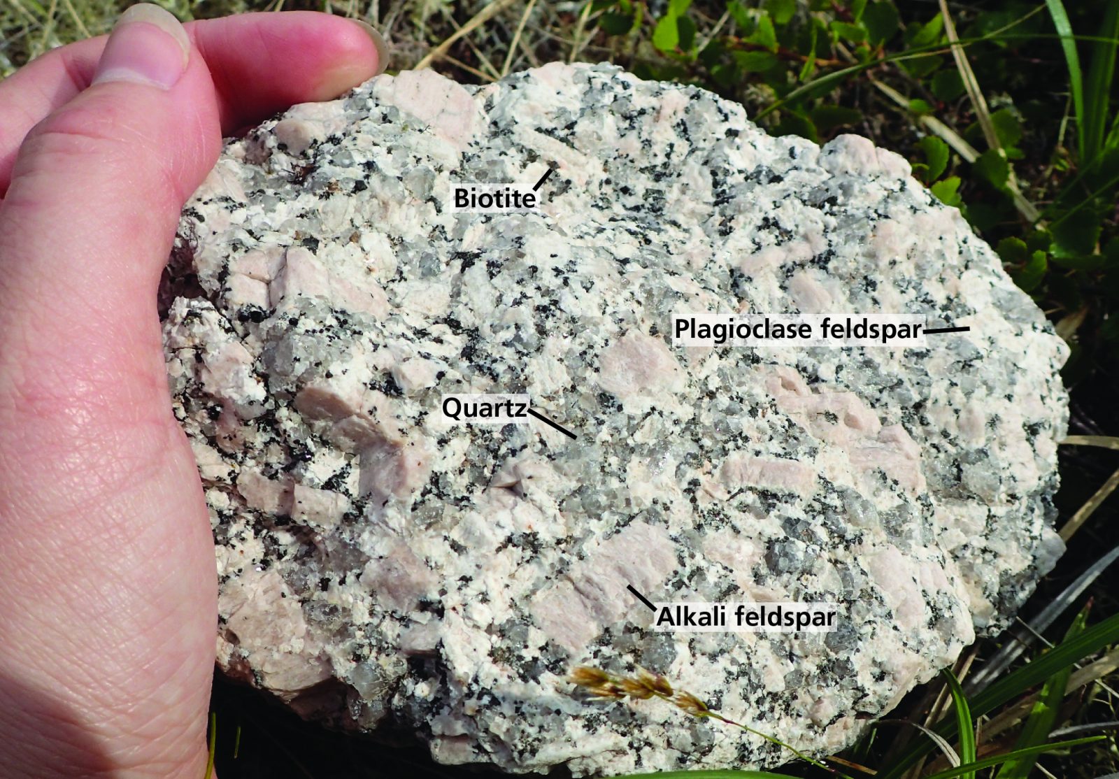 Magmatik kayaç olan Granit kayacında bulunan mineraller