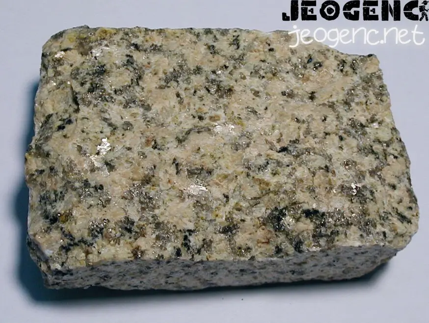 Magmatik kayaçlarda muskovit oluşumu (Granit)