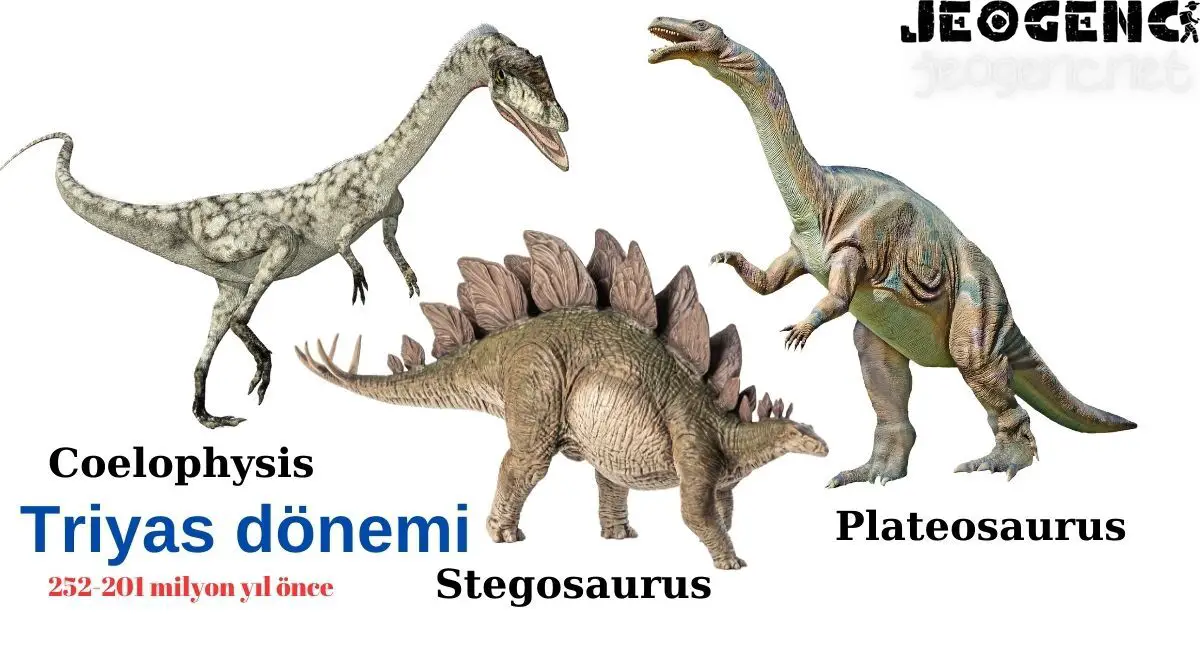 Coelophysis, Plateosaurus, Stegosaurus