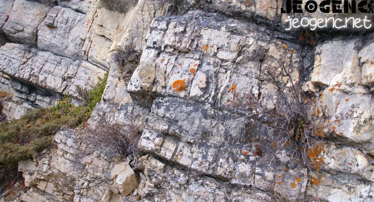 Fay Zonları Metamorfizması: Kayaların Jeolojik Evrimi