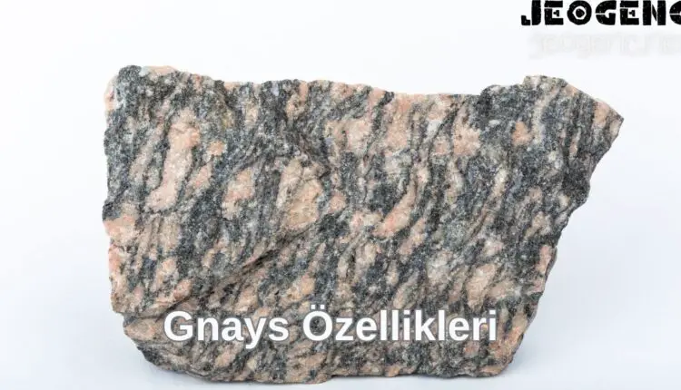 Gnays Özellikleri