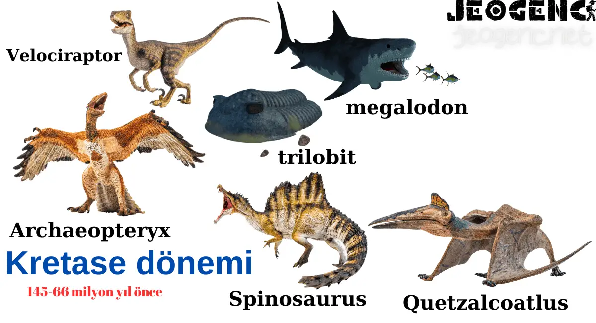 Velociraptor, Archaeopteryx, Spinosaurus, megalodon, Quetzalcoatlus, trilobit