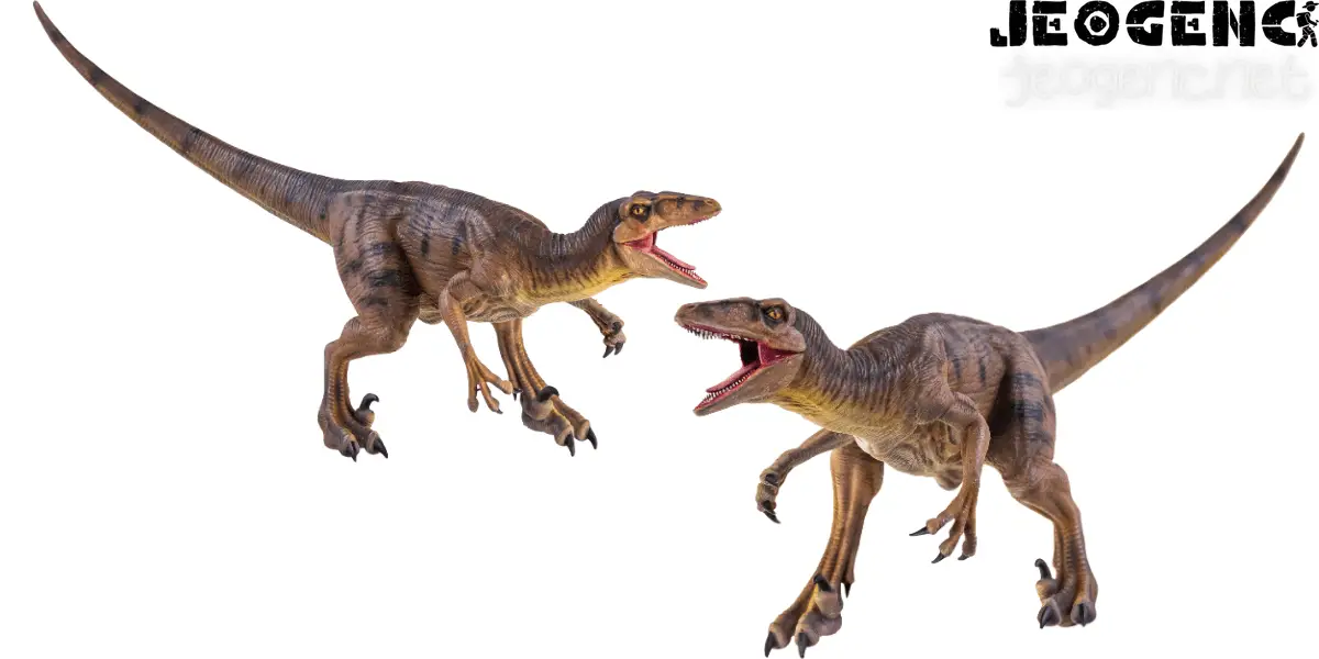 Velociraptor'un Boyutu